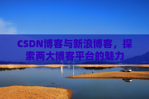 CSDN博客与新浪博客，探索两大博客平台的魅力